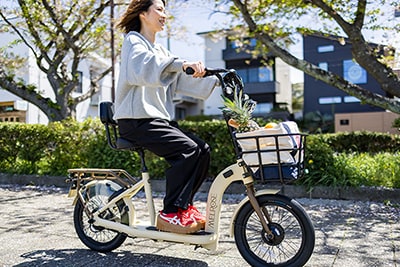 Hudson River Melroseは道路運送車両法の保安基準に適合しています